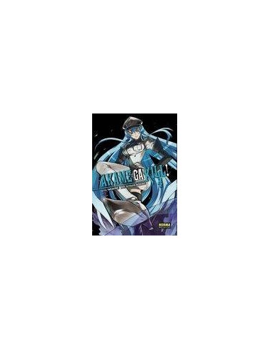 AKAME GA KILL 4
