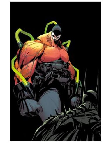 ABSOLUTE BATMAN 09