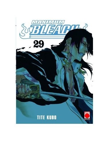 BLEACH MAXIMUM 29