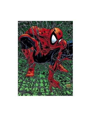 MARVEL MUST-HAVE. SPIDERMAN: TORMENTO
