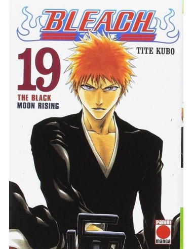 BLEACH 19 (COMIC)