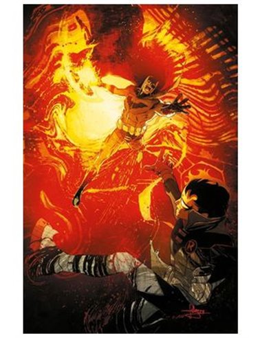 ALL IN BATMAN Y ROBIN 02