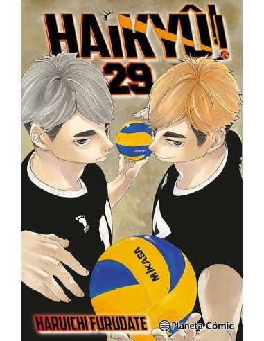 HAIKYU 29