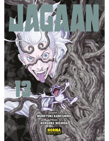 JAGAAN 13