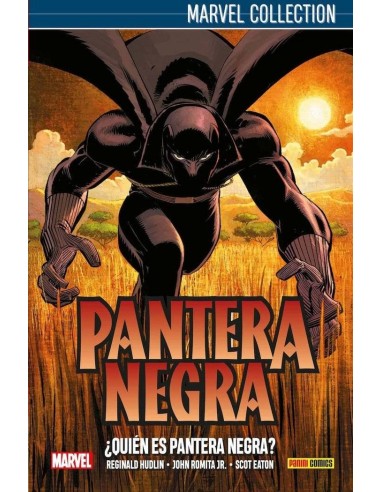 PANTERA NEGRA DE HUDLIN 1: ¿QUIEN ES PANTERA NEGRA?