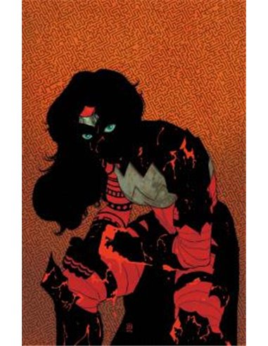ABSOLUTE WONDER WOMAN 11