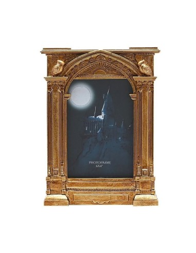HARRY POTTER MARCO FOTOS DORADO HOGWARTS